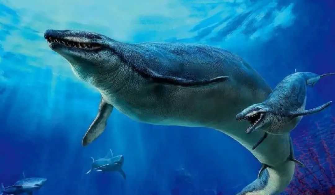 Basilosaurus: The Prehistoric Whale That Dominated Ancient Seas